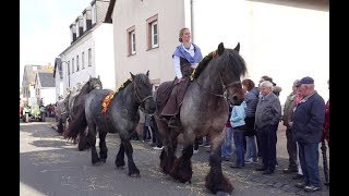 Historisches Erntedankfest in Blankenheim Dollendorf 01102017 [upl. by Idnod]