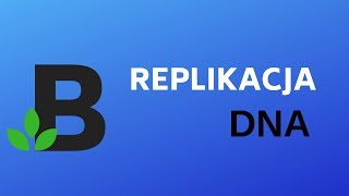 REPLIKACJA etapy replikacji  genetyka  KOREPETYCJE z BIOLOGII  202 [upl. by Oilcareh311]