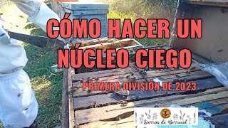 COMO HACER NUCLEOS DE ABEJAS [upl. by Lukasz]