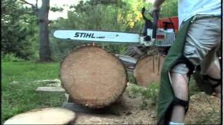 Stihl MS441M VS Stihl 046 VS Dolmar 7900 [upl. by Eruza62]