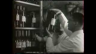 Manufacturing Homeopathic Medicines with Jean Boiron [upl. by Eilojne982]