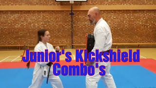 Zanshin Karate Kids  Kick Shield Combinations [upl. by Aerbas]