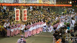 阿呆連 阿波踊り2018南内町桟敷席 4K Awa Odori [upl. by Cornie]