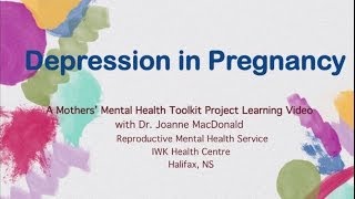 Depression in Pregnancy  Mother Mental Health Toolkit [upl. by Chiarra56]