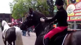 Jubilee Bridles at the Minnesota Horse Expo riding in bitless bridle [upl. by Yahs106]