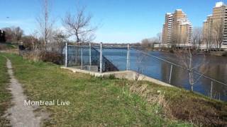 Rivière Des Prairies  Parc Résidence 400  Des Praries River  Laval [upl. by Atled]