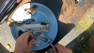 How to Fry A Trout On Melbourne Cup Long Weekend in Noojee [upl. by Mctyre]