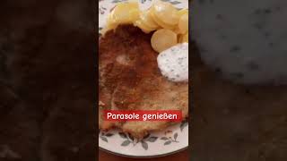 Parasole finden gleich genießen parasol pilze selbstversorger einfacherezepte einfachkochen [upl. by Maressa]