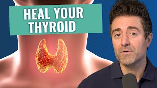 The 3 BEST and WORST Hashimoto’s Thyroiditis Treatments [upl. by Klinges797]