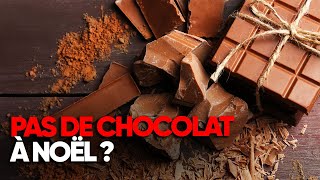 Pourquoi il devrait y avoir une pénurie de chocolat dans le monde  Documentaire complet  AMP [upl. by Nnairet]