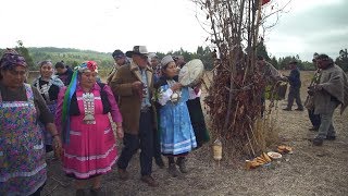 Los mapuches luchan por su lengua y su cultura [upl. by Truk500]