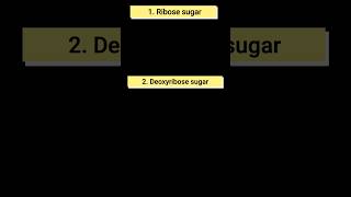 what is ribose and deoxyribose sugar l sugar found in DNA or RNA ।biology [upl. by Verene684]