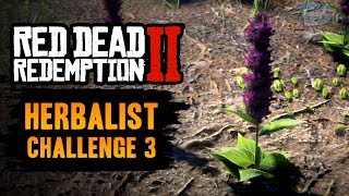 Red Dead Redemption 2 Herbalist Challenge 3 Guide  Craft 7 items using Sage as an ingredient [upl. by Eustis]