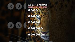 Quiz Time  Guess The Animals  Unscramble These Words [upl. by Tommi]