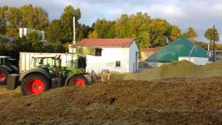 Mais Ernte 2013 häckseln für Biogasanlage Hennenweidach Teil 2HD [upl. by Ainot]