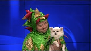 Piff the Magic Dragon amp Mr Piffles Make Magic Happen at KTLA [upl. by Niwred]