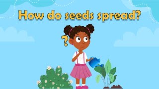 How do seeds spread What is pollination Pollination for kids  teaching pollination  plants ks2 [upl. by Gimble]