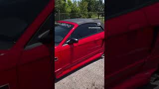 stallion fordmustang performance sn95mustang roush newedge [upl. by Farrow]