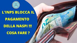 Pagamento Naspi sospeso  La guida su come sbloccarlo [upl. by Radek]