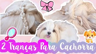 Penteados Para Cachorros Trança Cruzada e Torcida Para Cadela VEDA7 ❥ Lói Cúrcio [upl. by Roach]