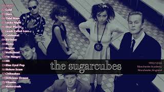 The Sugarcubes  LIVE 19921203  Manchester [upl. by Nonac]