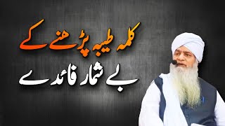 Kalma Tayyaba  Kalma Tayyaba Ki Fazilat  Peer Zulfiqar Ahmed Naqshbandi Bayan Meri Tauba Official [upl. by Viglione]