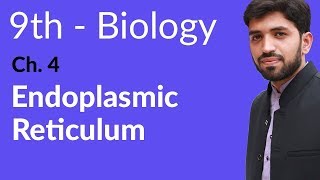 9th Class Biology  Chapter 4  Endoplasmic Reticulum [upl. by Hewe]