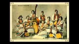 Zraslo nam je jedno drevce Croatian Folk Song [upl. by Yditsahc430]