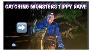 Tippy dam salmon fishing 2023 Monster salmon [upl. by Ididn]