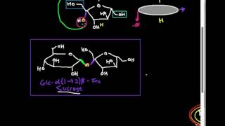 Disaccharides Sucrose [upl. by Byler795]