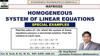 what is the meaning of trivial solution and nontrivial solution [upl. by Docia638]