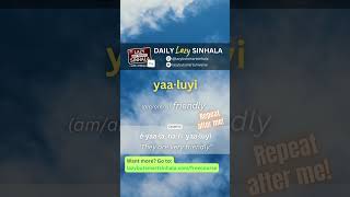 Friendly in Sinhala  Daily Lazy Sinhala  Learn Sinhala  Lazy But Smart Sinhala learnsinhala [upl. by Upton684]