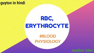 RED BLOOD CELL ERTHYROCYTES  BLOODPHYSIOLOGY  GUYTONINHINDI [upl. by Chrysler154]