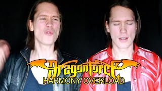 DRAGONFORCE  THROUGH THE FIRE AND THE FLAMES Cover [upl. by Ladonna]