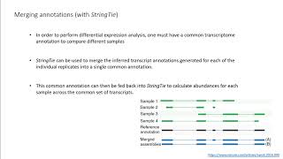 Isoform analysis using Stringtie [upl. by Ihsorih49]