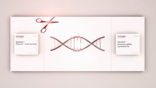 Next level CRISPR editing Cas9 RNP [upl. by Strephonn364]