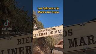 Conociendo las Salineras de Maras en Cusco Sabias que todo inicia desde un manantial [upl. by Eceerehs]