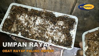 UMPAN RAYAP  EXTERRA  Obat Rayap Paling Ampuh [upl. by Ellenar]