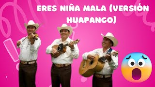 Eres Niña Mala Versión Huapango [upl. by Rehctaht]