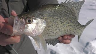 Ice Fishing CRAPPIE  Merritt Reservoir Nebraska [upl. by Timotheus]