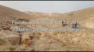 Floods in Israel 10112018  Judaean desert and the Negev שטפונות בנגב ובמדבר יהודה 10112018 [upl. by Bain]