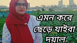 তুমি এমন করে ছেড়ে যাইবা দয়াল  Tumi emon kore chere jaiba doyal  Dilruba Bengali folk song [upl. by Allekim908]