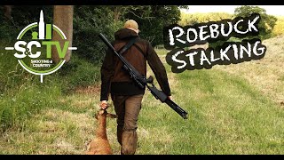 Shooting amp Country TV  Deer management with Chris Rogers  Roe buck stalking [upl. by Saduj]