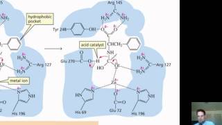 Chapter 24 – Catalysis Part 2 of 2 [upl. by Acinod]