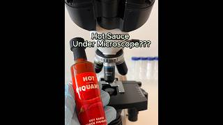 Hot Sauce Under the Microscope microscope 2024 shorts shortsvideo [upl. by Gates]