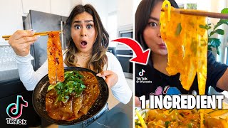 TESTING TikTok Viral 1 Ingredient ONLY Recipes amp FOOD HACKS [upl. by Aed600]