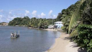 Dominica Island [upl. by Nimaj]