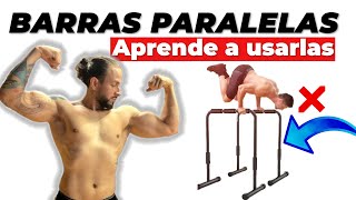 Cómo entrenar con BARRAS PARALELAS  Los 5 Ejercicios más importantes  Galvistrainer [upl. by Schrader715]