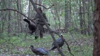 Spring Gobbler Hunting Virginia Cant Stop The Flop [upl. by Michal]