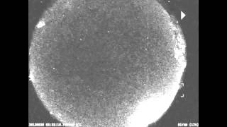 Large Fireball Seen Streaking Over Ohio  Video [upl. by Phillada312]